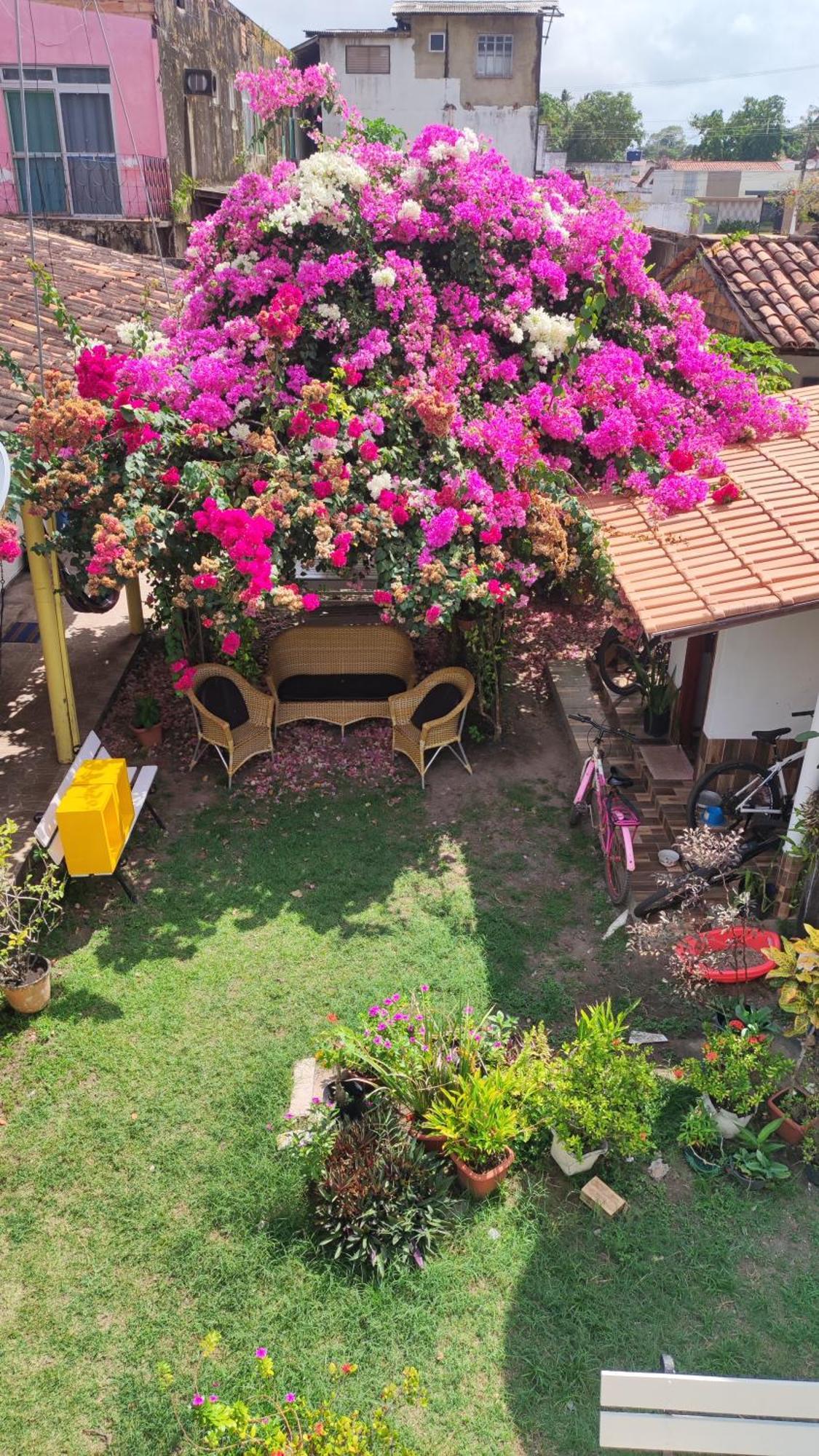 Pousada Solar Encanto Do Marajo Soure Dış mekan fotoğraf